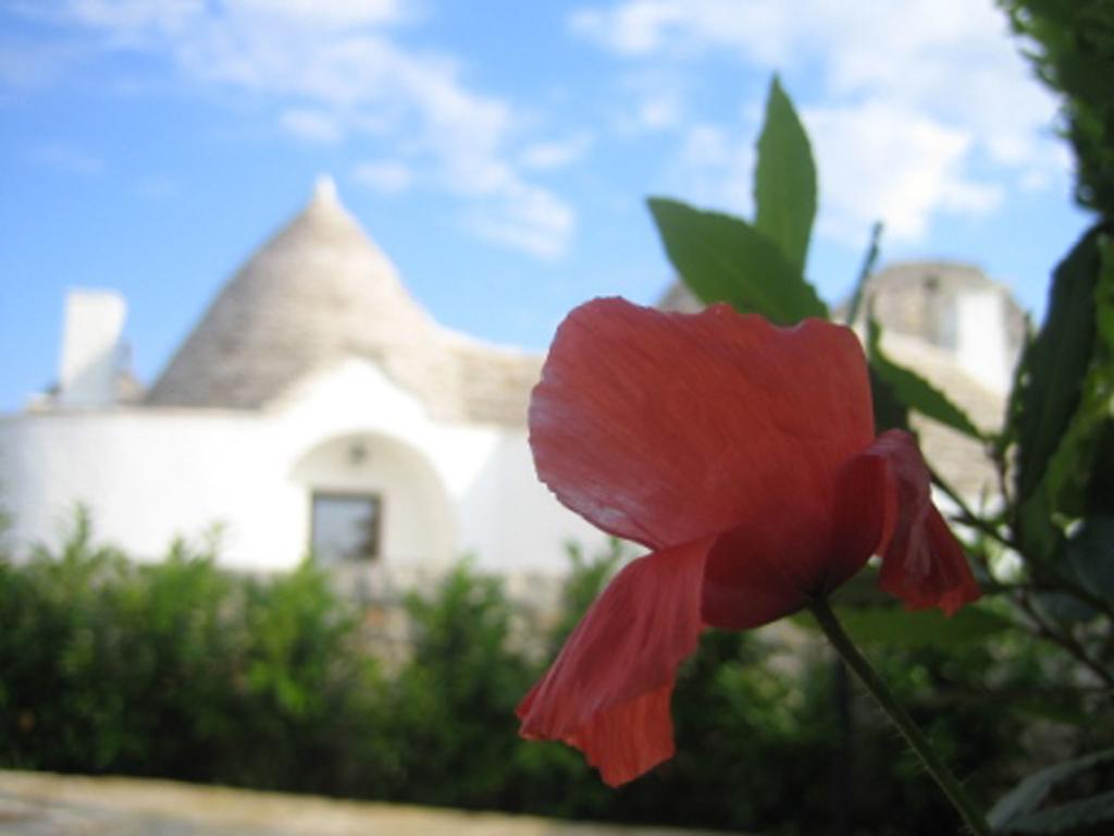 La Trullesa Holiday Alberobello Exterior foto