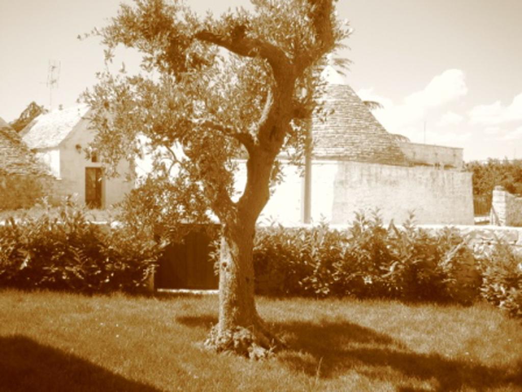 La Trullesa Holiday Alberobello Exterior foto